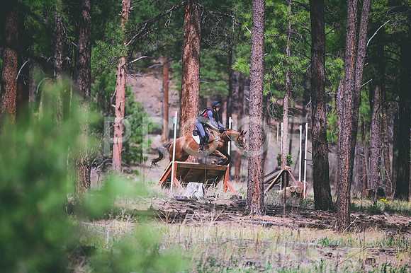 DSC_7053