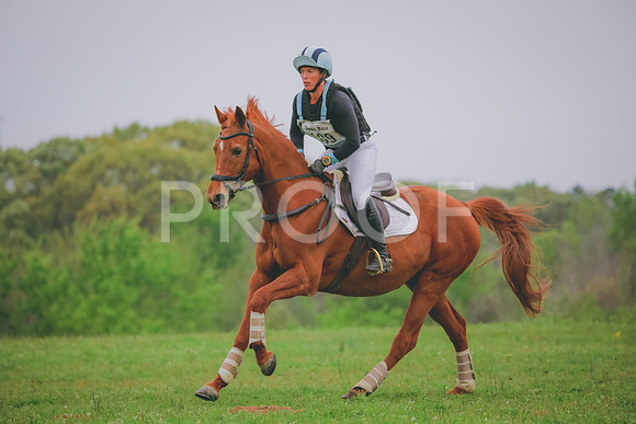 RWP_4351