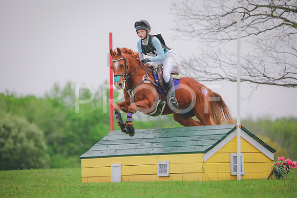 RWP_4378