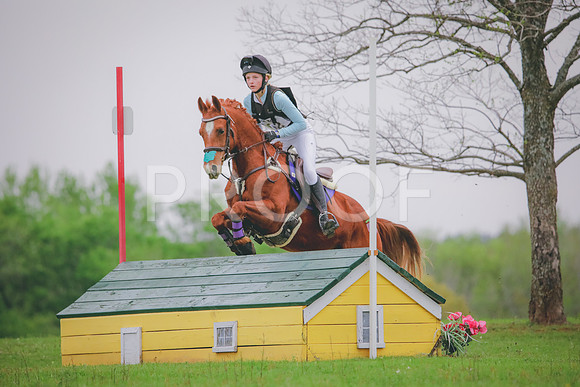 RWP_4377