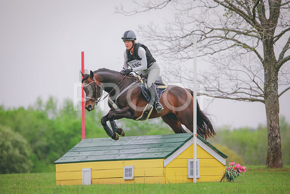 RWP_4431