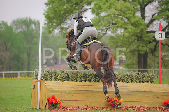 RWP_4439