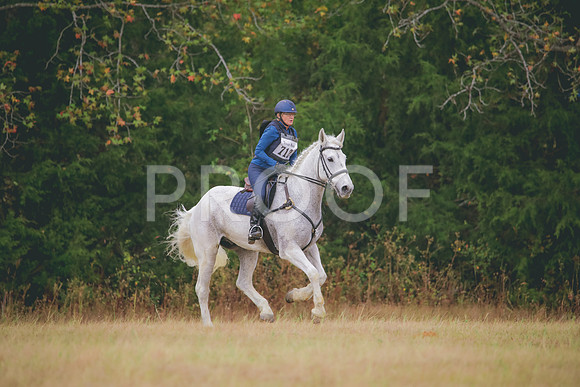 RWP_3820