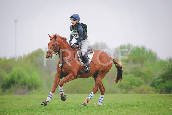 RWP_4501