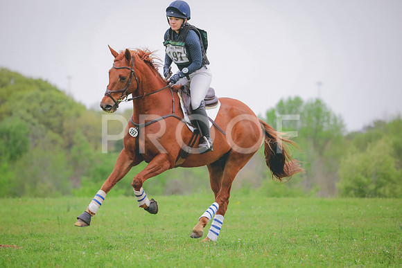 RWP_4503