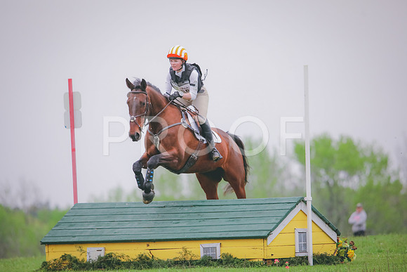 RWP_4463