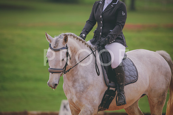 RWP_3515