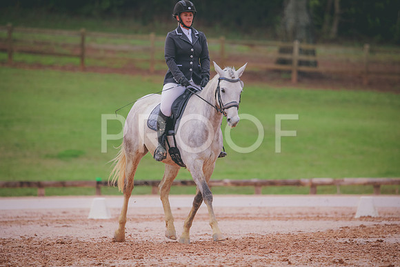 RWP_3517