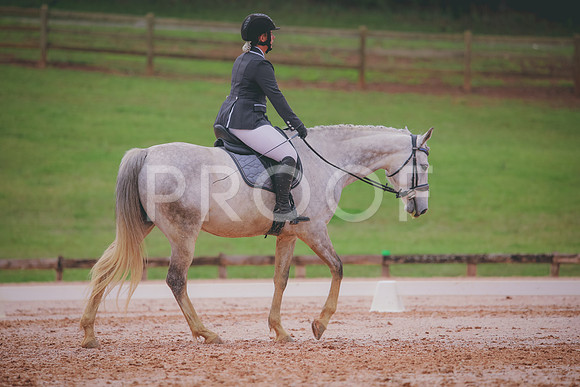 RWP_3527