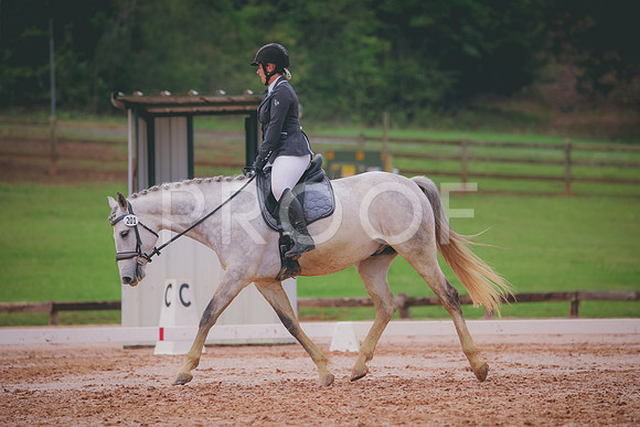 RWP_3537