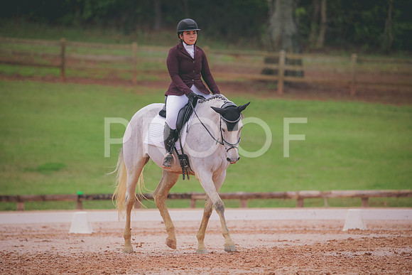 RWP_3543