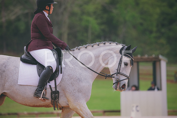 RWP_3549