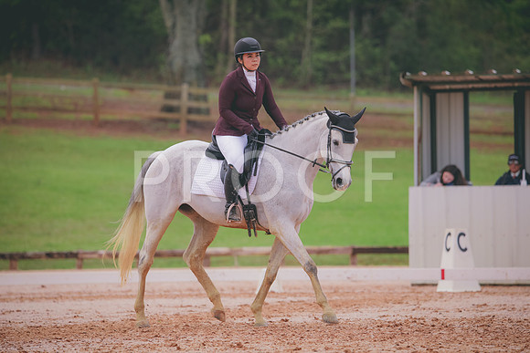 RWP_3553