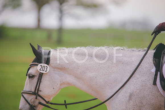 RWP_3560