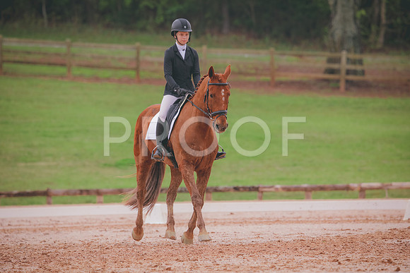 RWP_3564