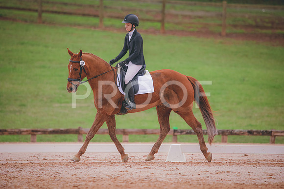 RWP_3563