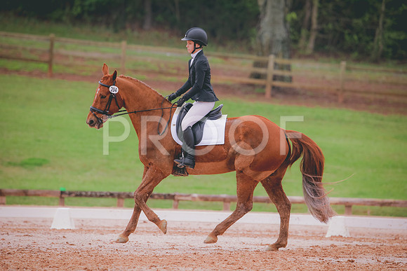 RWP_3569