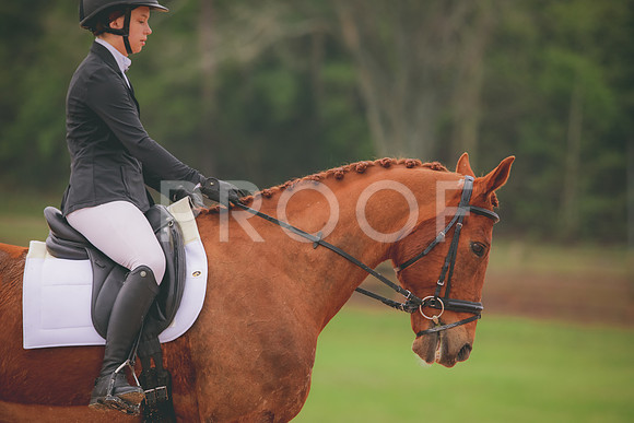 RWP_3572