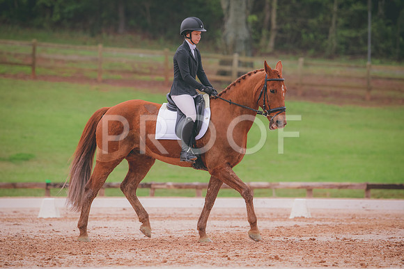 RWP_3576