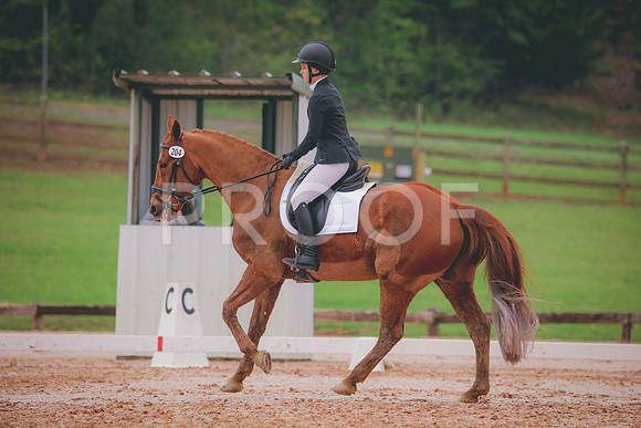 RWP_3568
