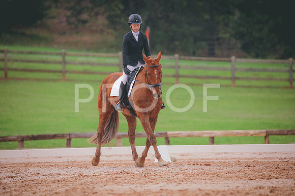 RWP_3581