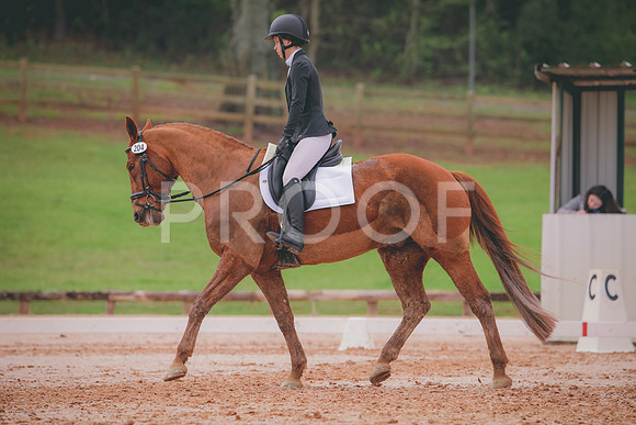 RWP_3582