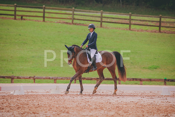 RWP_3587