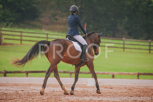 RWP_3592