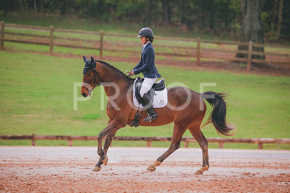 RWP_3595