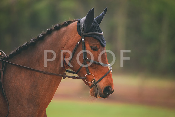 RWP_3598