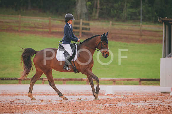 RWP_3606