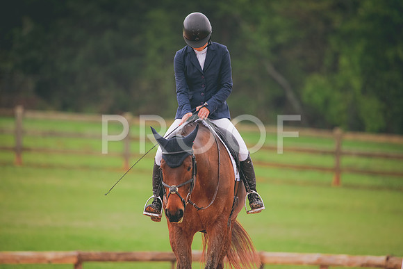 RWP_3613