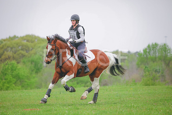 RWP_4617