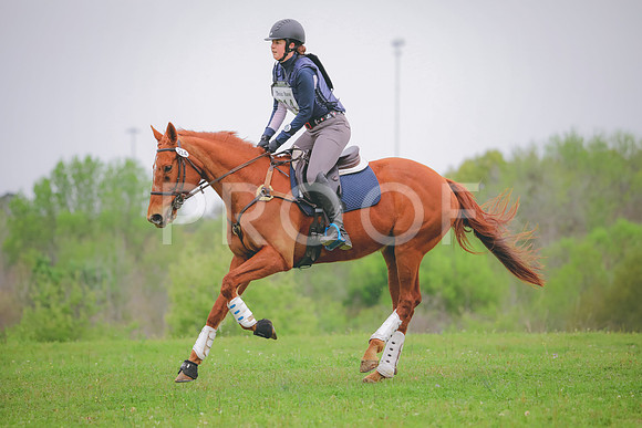 RWP_4652