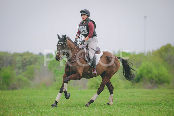 RWP_4702