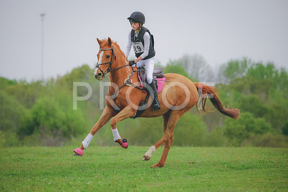 RWP_4739