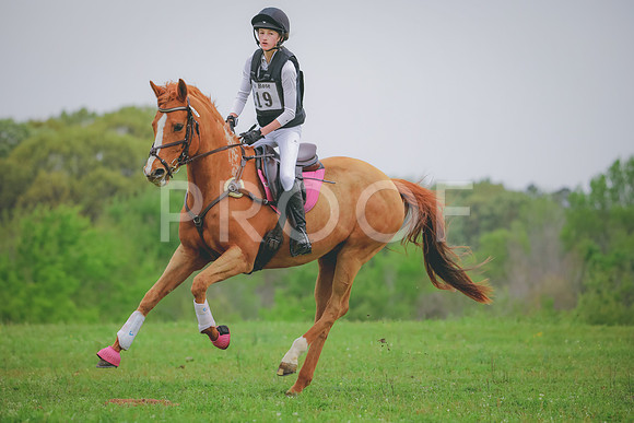 RWP_4741