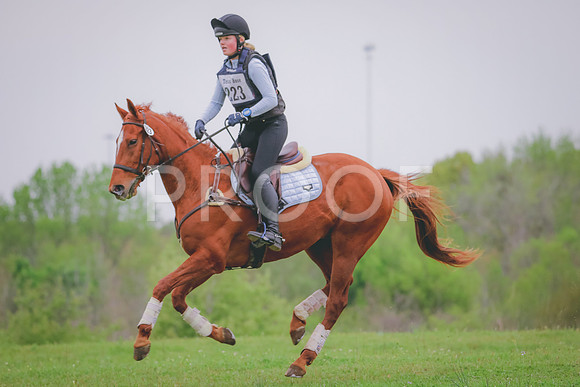 RWP_4823