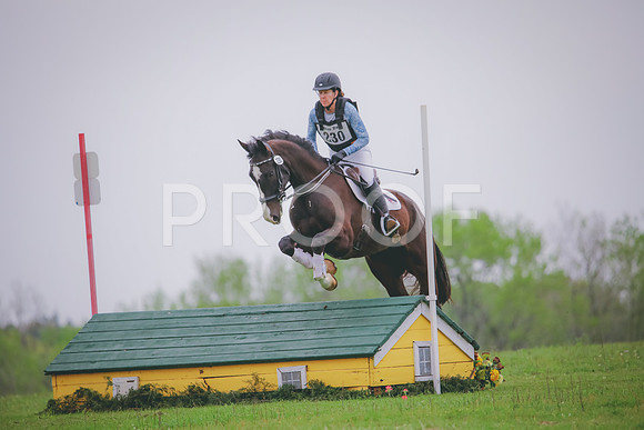 RWP_4917