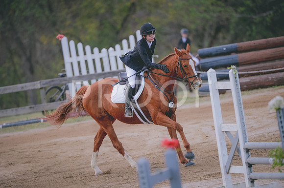 JJS_3249