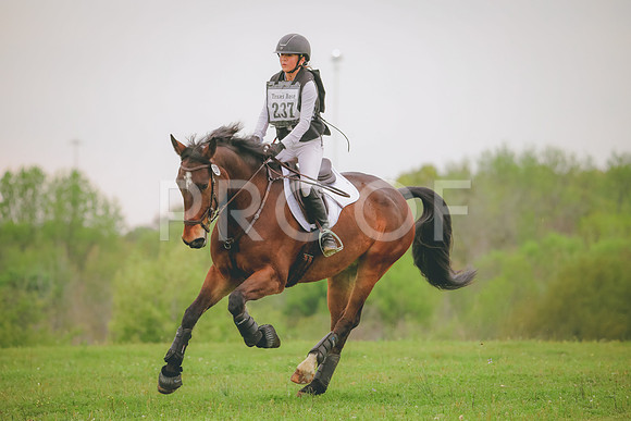 RWP_5004