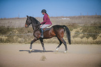 JJS_5551