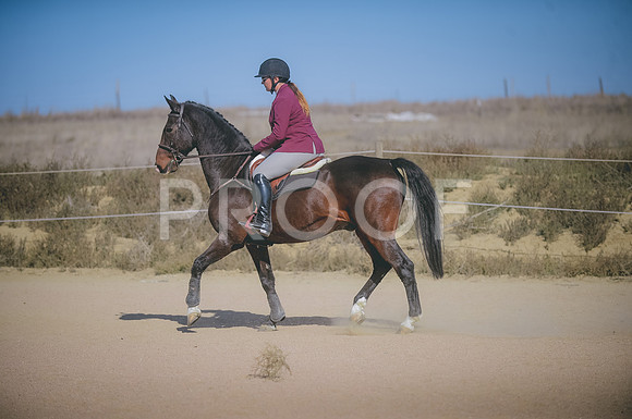 JJS_5551