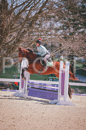 SNS_2014