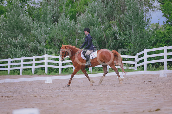 TBEY6650