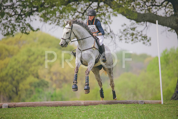 RWP_3633