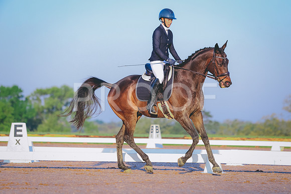 TKPL6132