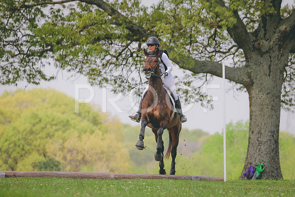 RWP_3619