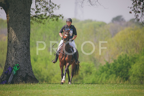 RWP_3819