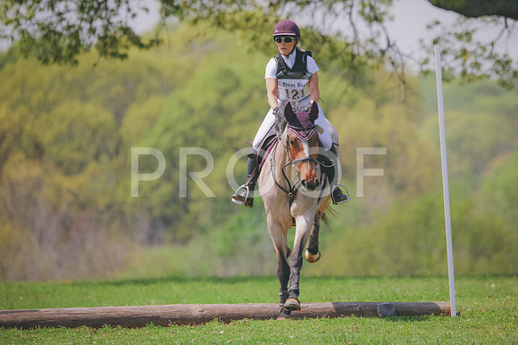 RWP_3866